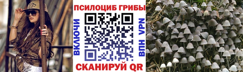 Галлюциногенные грибы Magic Shrooms Вельск